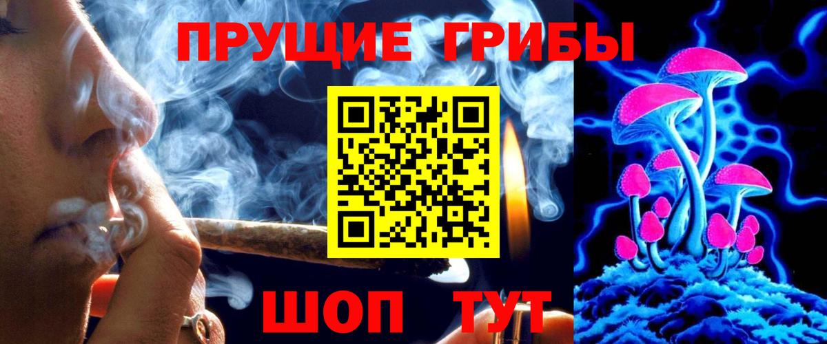 Псилоцибиновые грибы Magic Shrooms  Вход с VPN  Киселёвск  Псилоцибиновые грибы GOLDEN TEACHER 